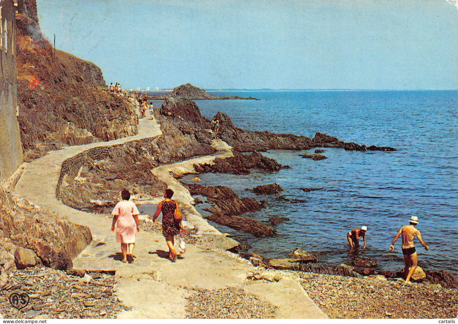 66-COLLIOURE-N°3816-D/0171 - Collioure