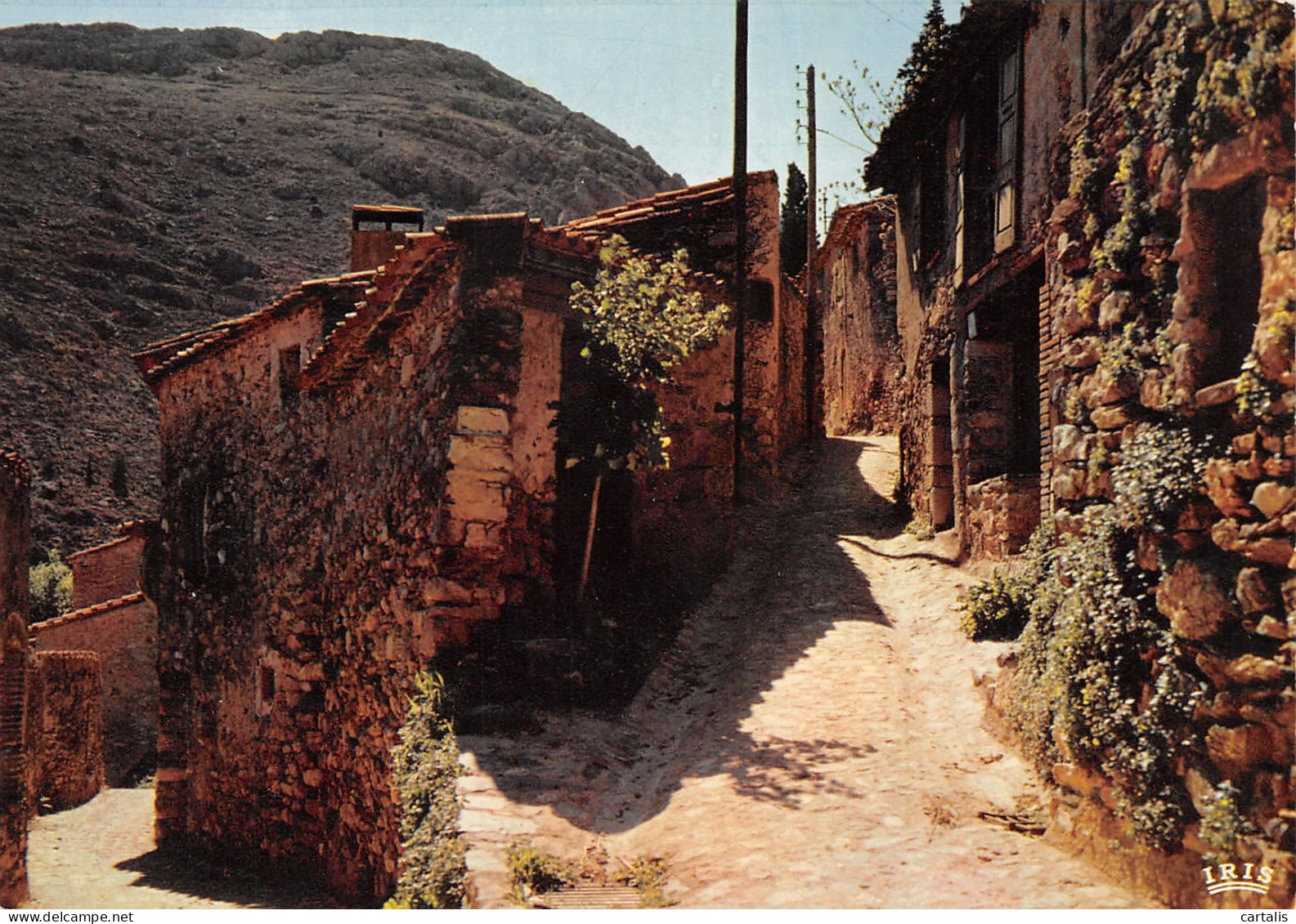 66-CASTELNOU-N°3817-D/0089 - Sonstige & Ohne Zuordnung