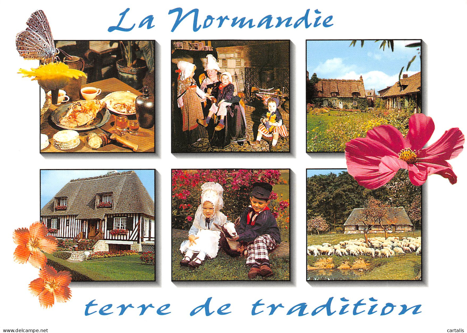 14-LA NORMANDIE MULTI VUES-N°3817-C/0395 - Andere & Zonder Classificatie