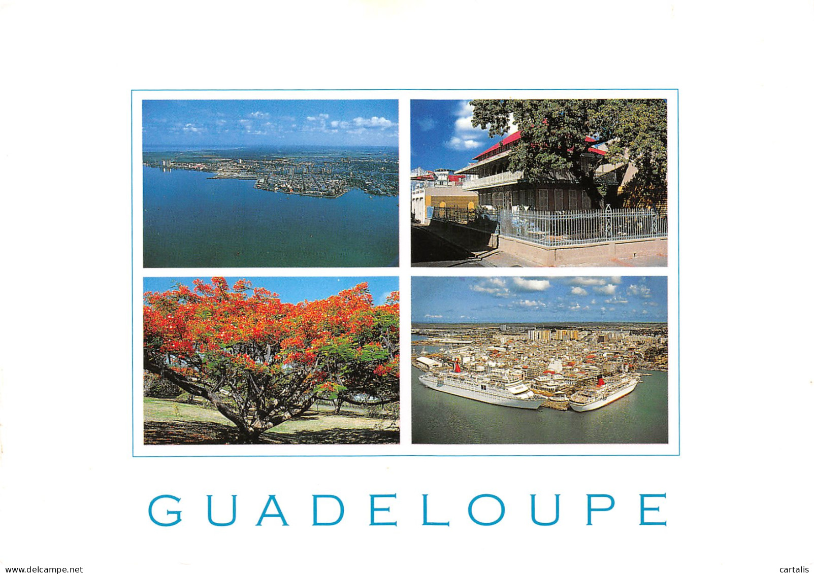 971-GUADELOUPE POINTE A PITRE-N°3817-C/0367 - Other & Unclassified