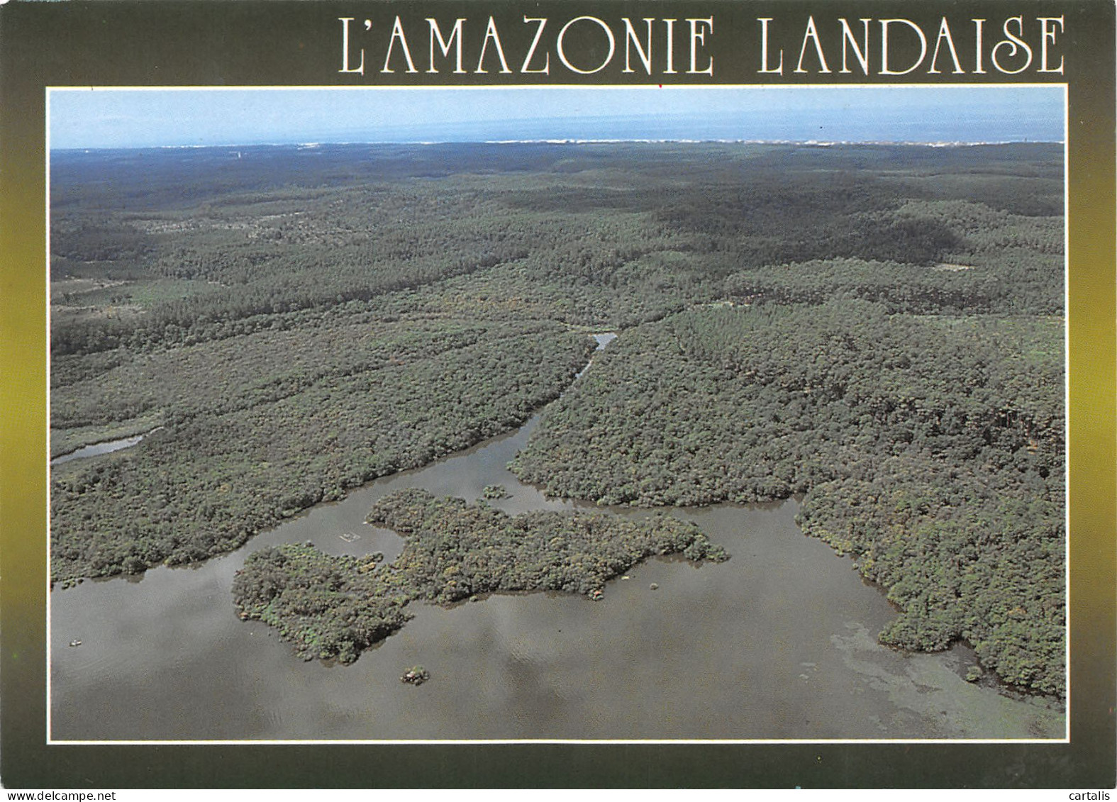 40-LES LANDES L AMAZONIE-N°3817-C/0345 - Other & Unclassified