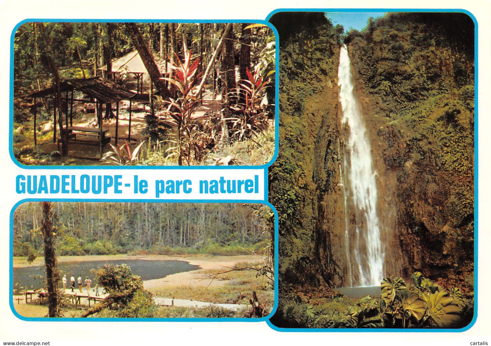 971-GUADELOUPE PARC NATUREL-N°3817-C/0305 - Other & Unclassified