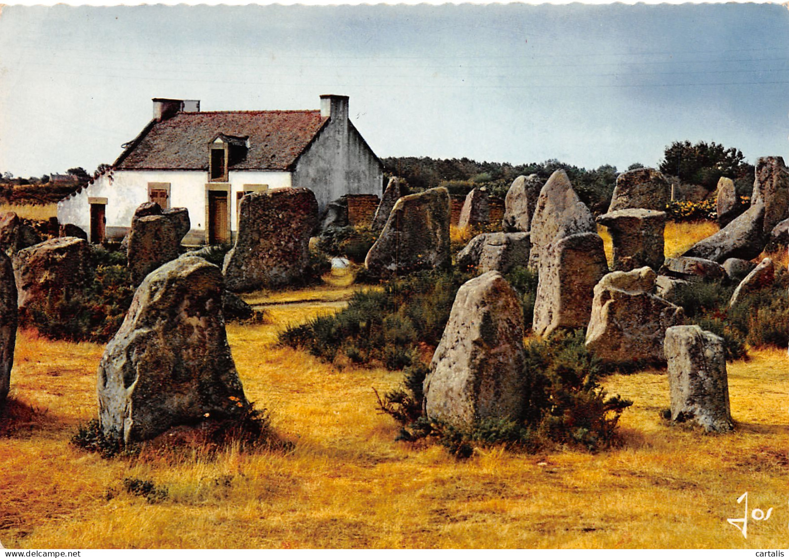 56-CARNAC-N°3817-C/0067 - Carnac