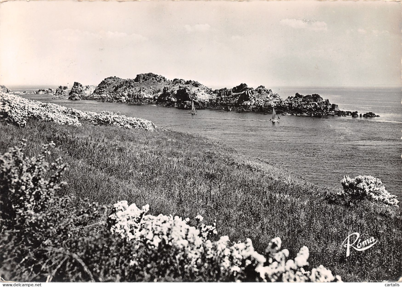 35-CANCALE-N°3817-B/0353 - Cancale