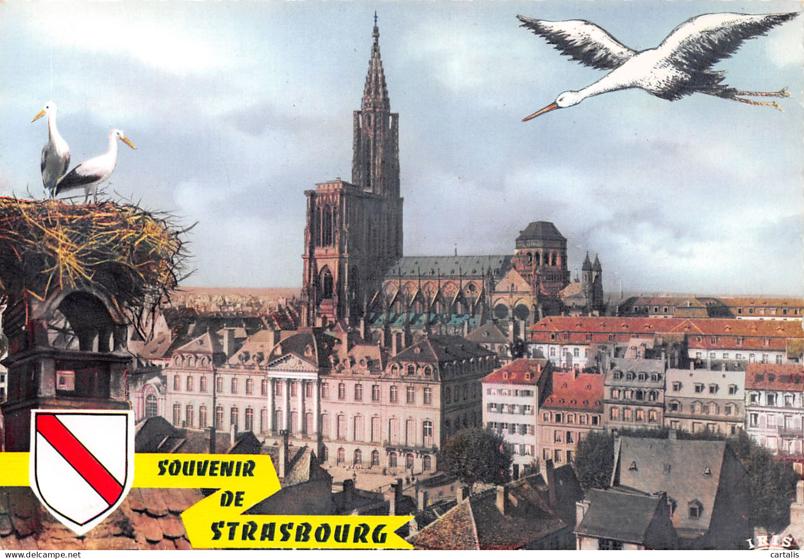 67-STRASBOURG-N°3817-B/0223 - Strasbourg