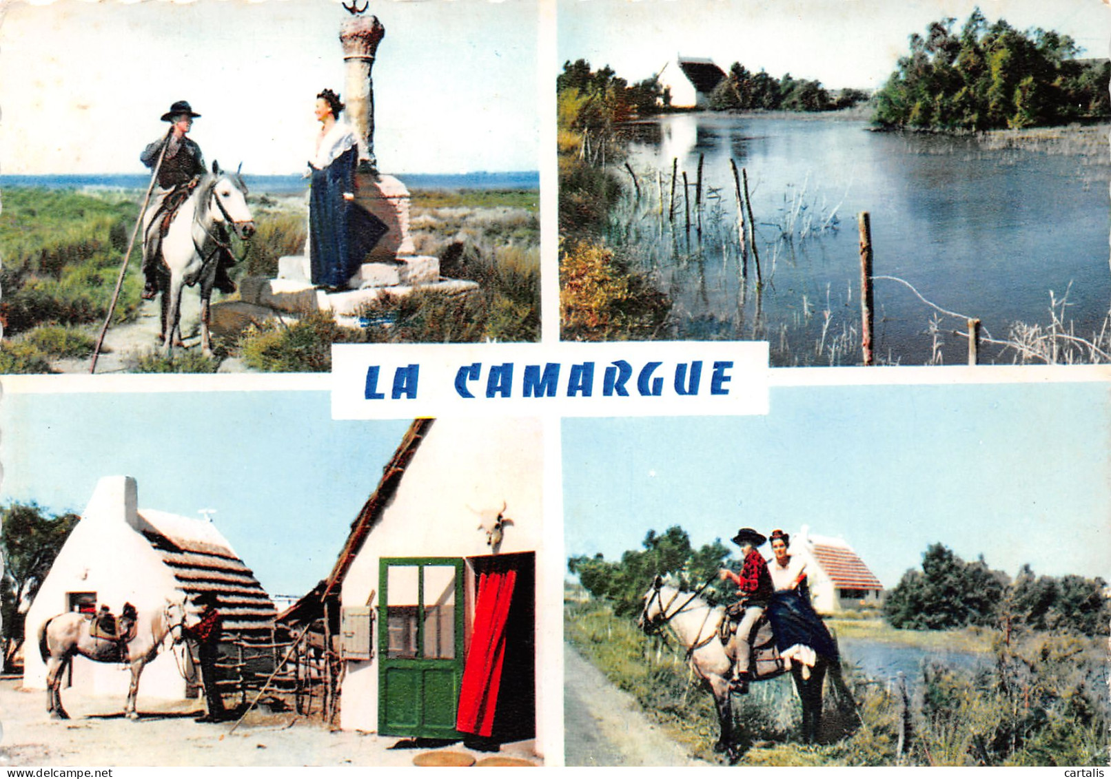 13-LA CAMARGUE-N°3817-B/0157 - Sonstige & Ohne Zuordnung