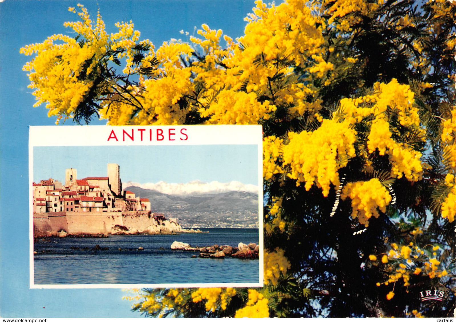 06-ANTIBES-N°3818-A/0289 - Autres & Non Classés