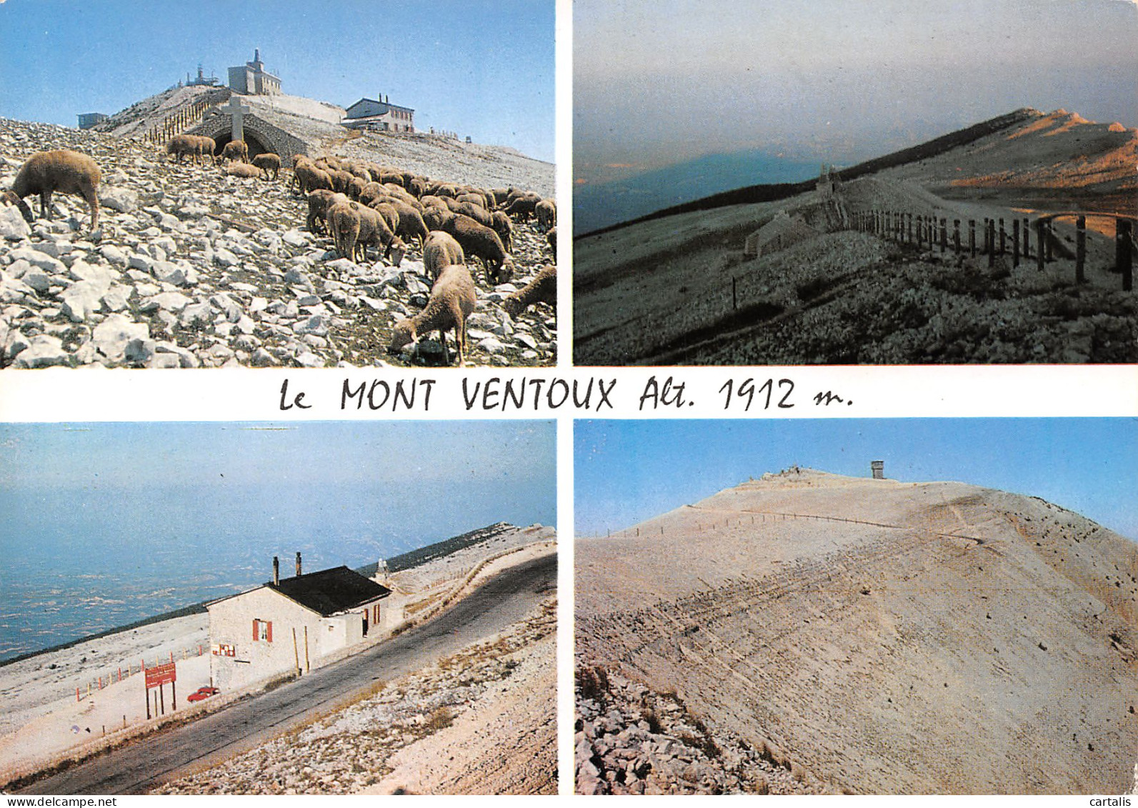 84-MONT VENTOUX-N°3818-A/0195 - Other & Unclassified