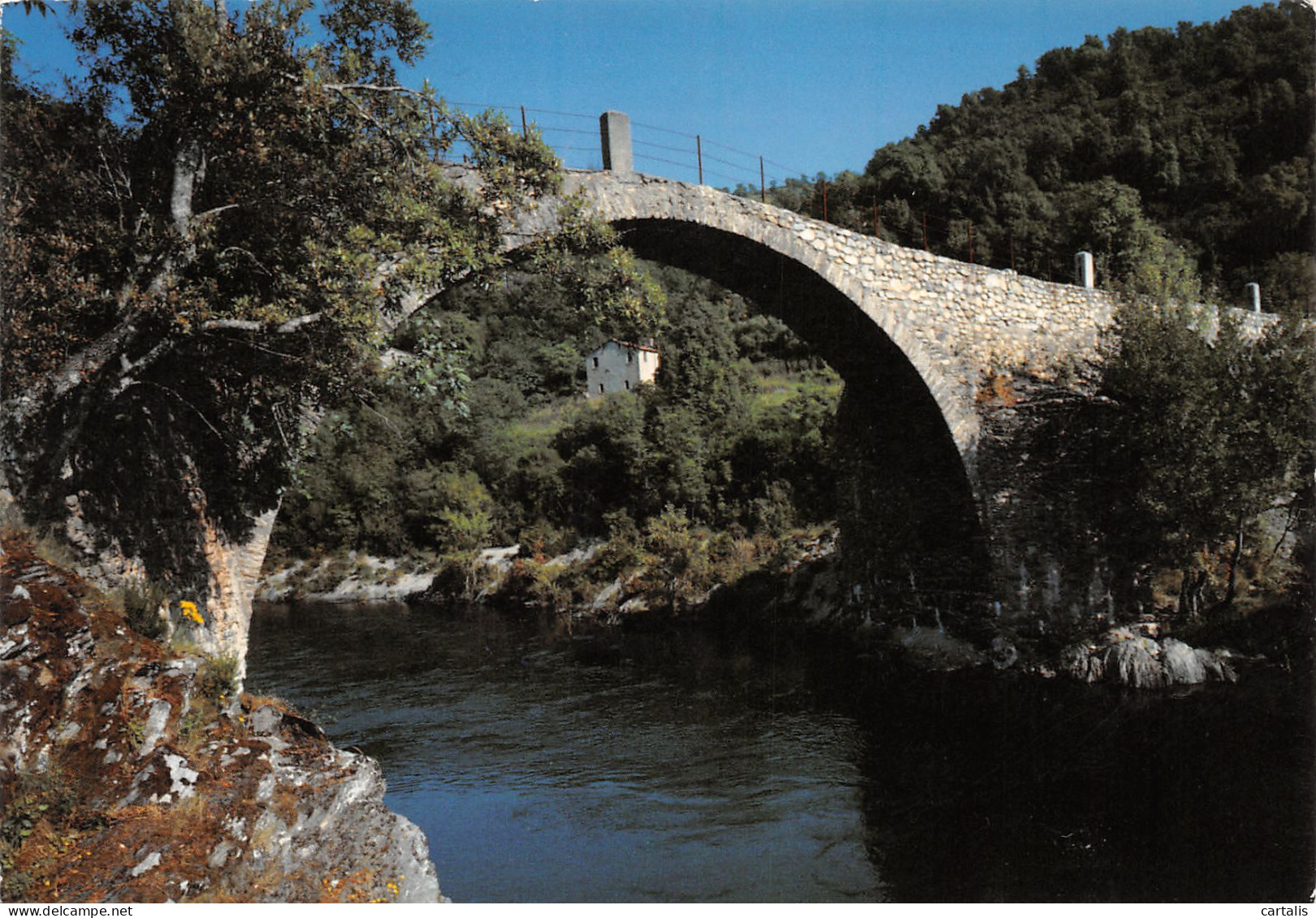 20-PONT GENOIS DE PIEDICORT-N°3818-D/0177 - Andere & Zonder Classificatie