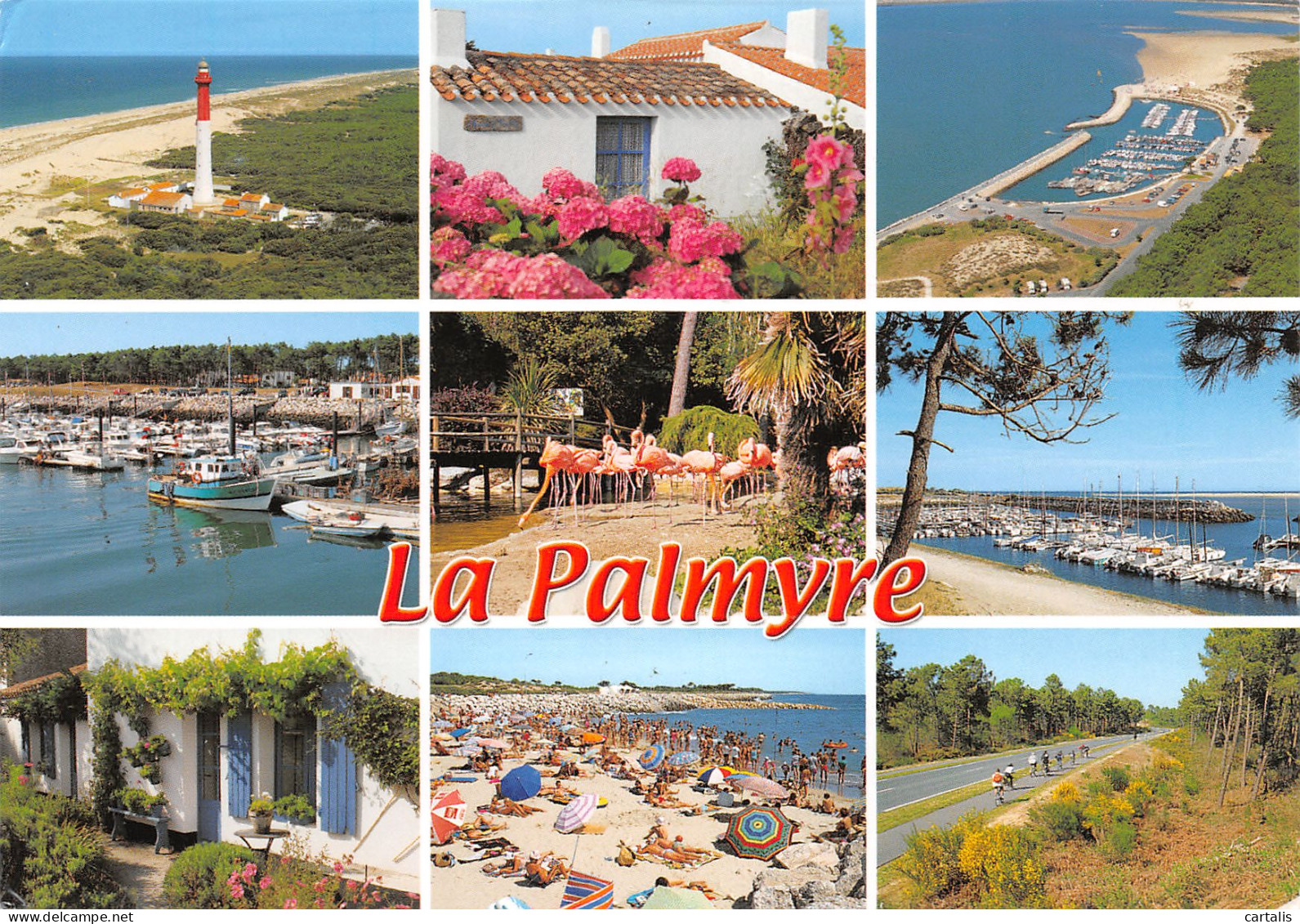 17-LA PALMYRE-N°3818-C/0259 - Other & Unclassified