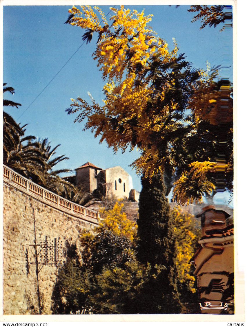 83-BORMES LES MIMOSAS-N°3819-A/0275 - Bormes-les-Mimosas