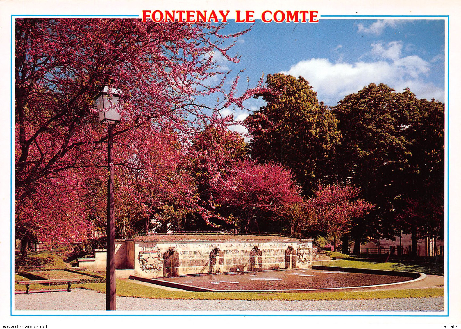 85-FONTENAY LE COMTE-N°3819-C/0213 - Fontenay Le Comte