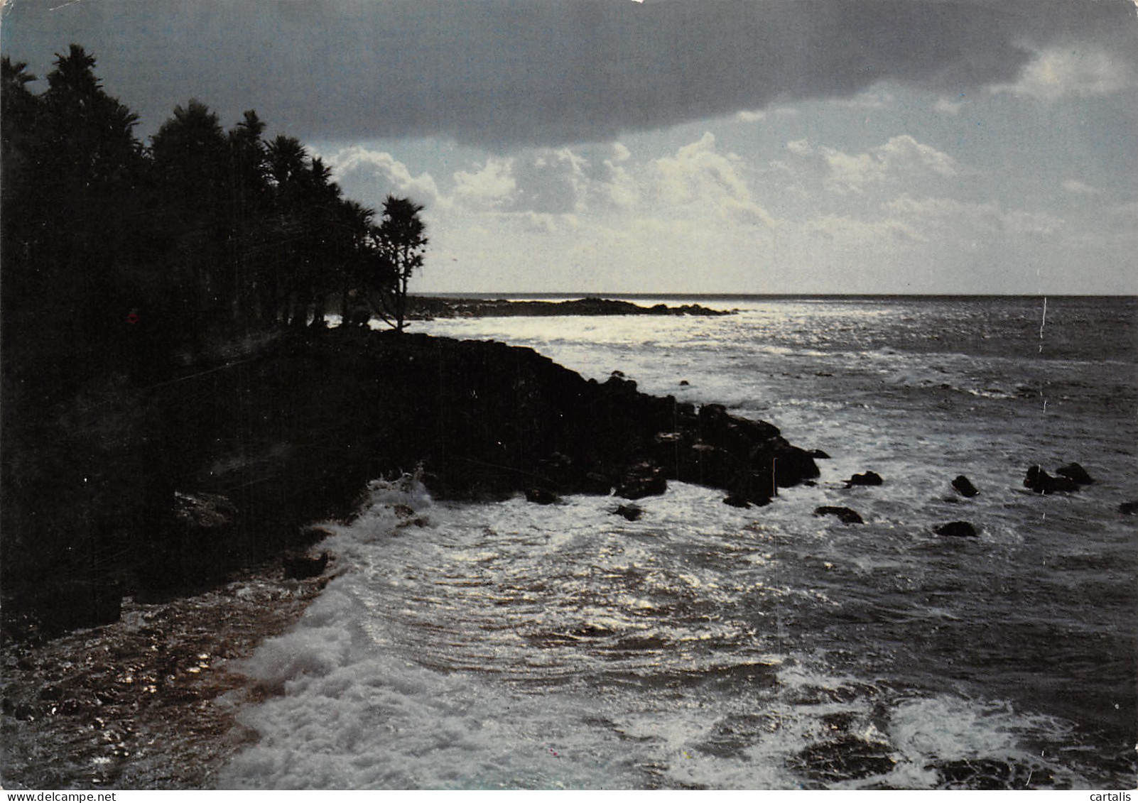 974-ILE DE LA REUNION PAYSAGE-N°3819-B/0171 - Autres & Non Classés