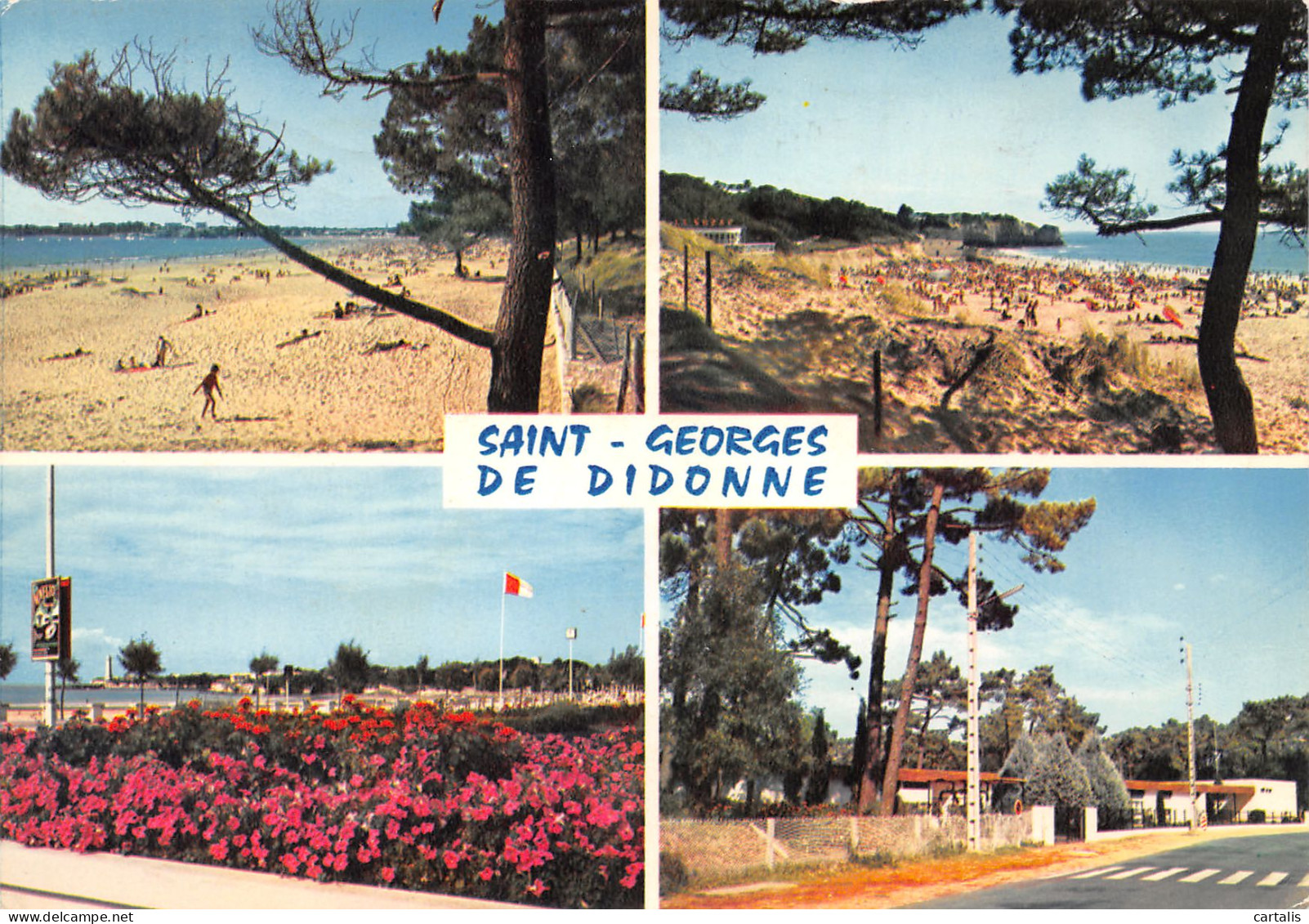 17-SAINT GEORGES DE DIDONNE-N°3820-A/0149 - Saint-Georges-de-Didonne