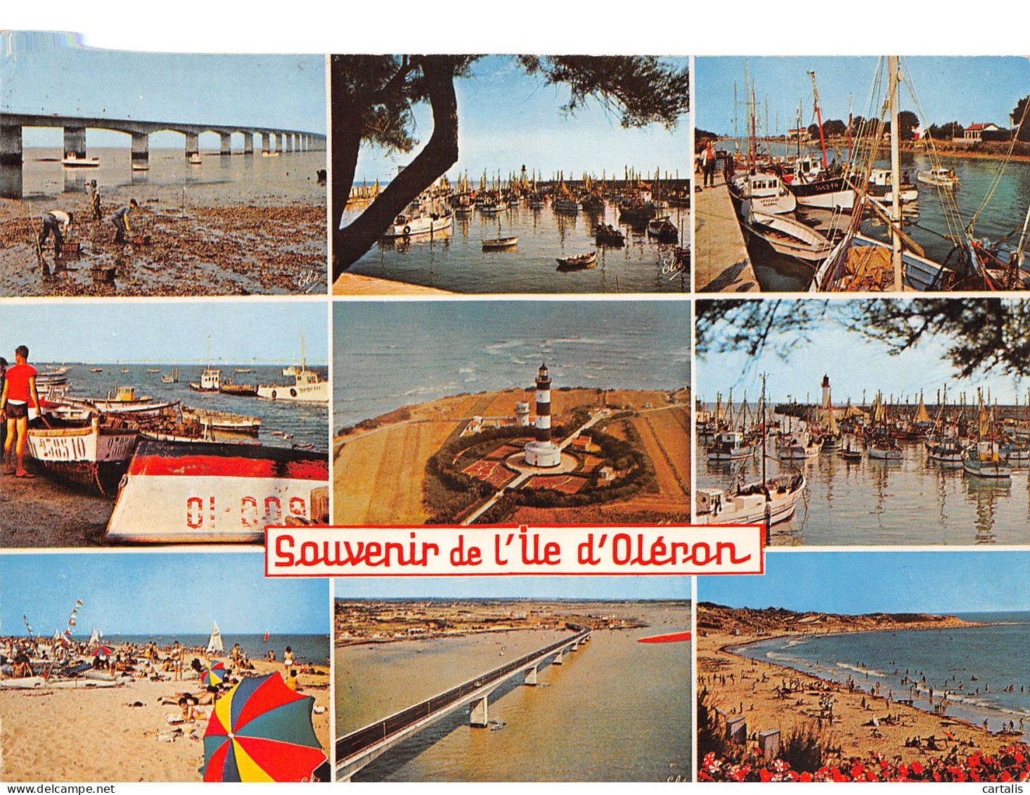 17-ILE D OLERON-N°3820-A/0119 - Ile D'Oléron