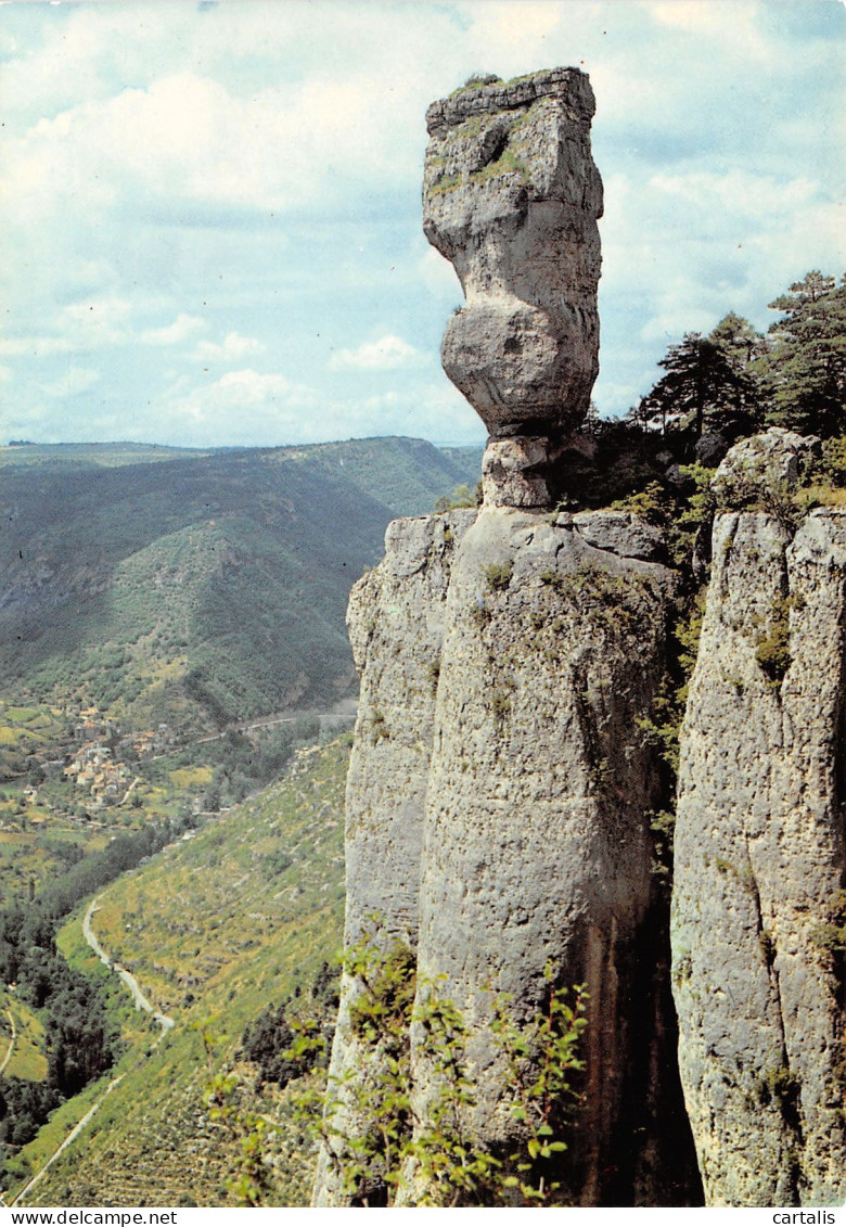 48-GORGES DU TARN-N°3820-A/0087 - Gorges Du Tarn