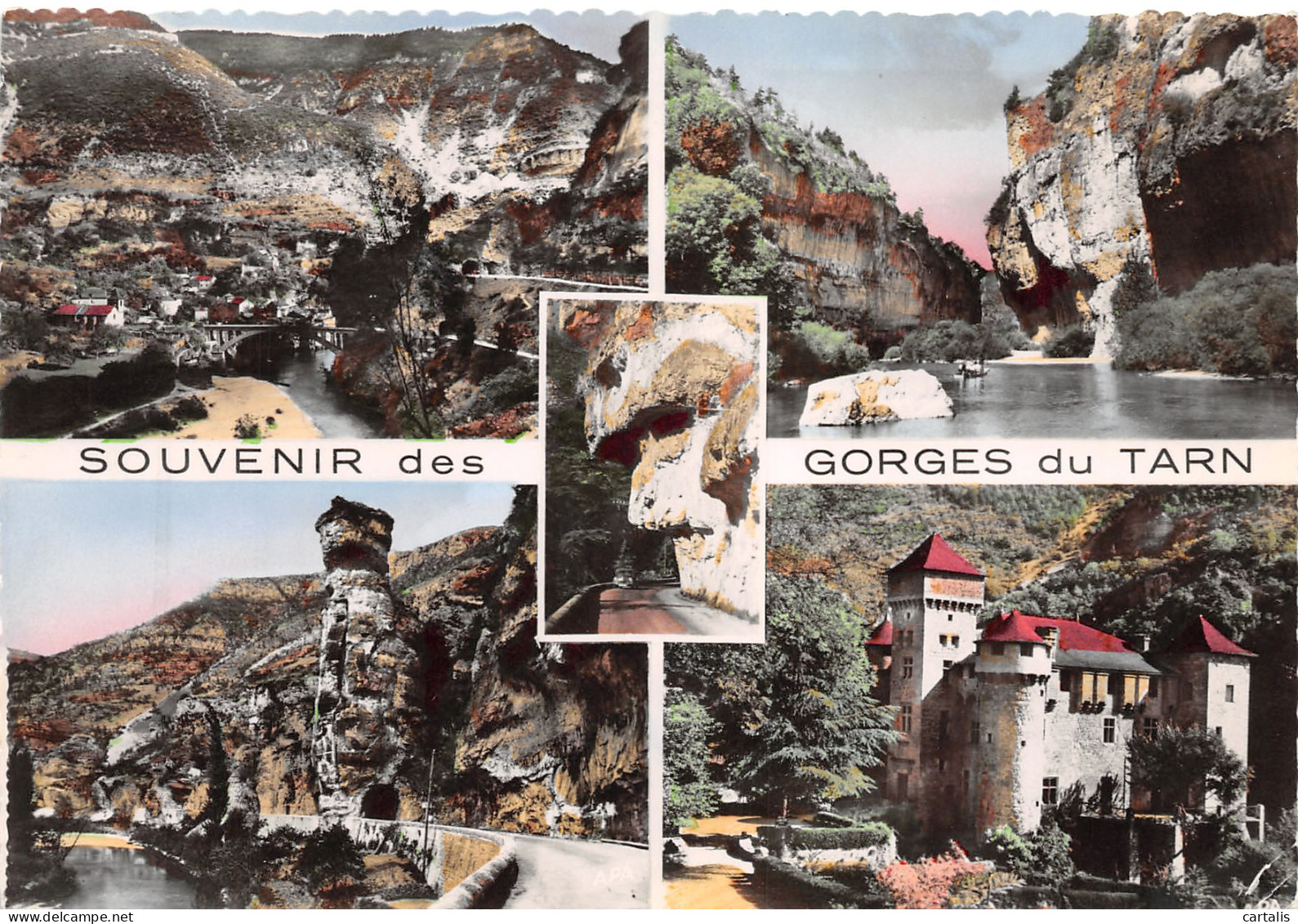 48-SAINT CHELY DU TARN-N°3820-D/0085 - Le Bleymard