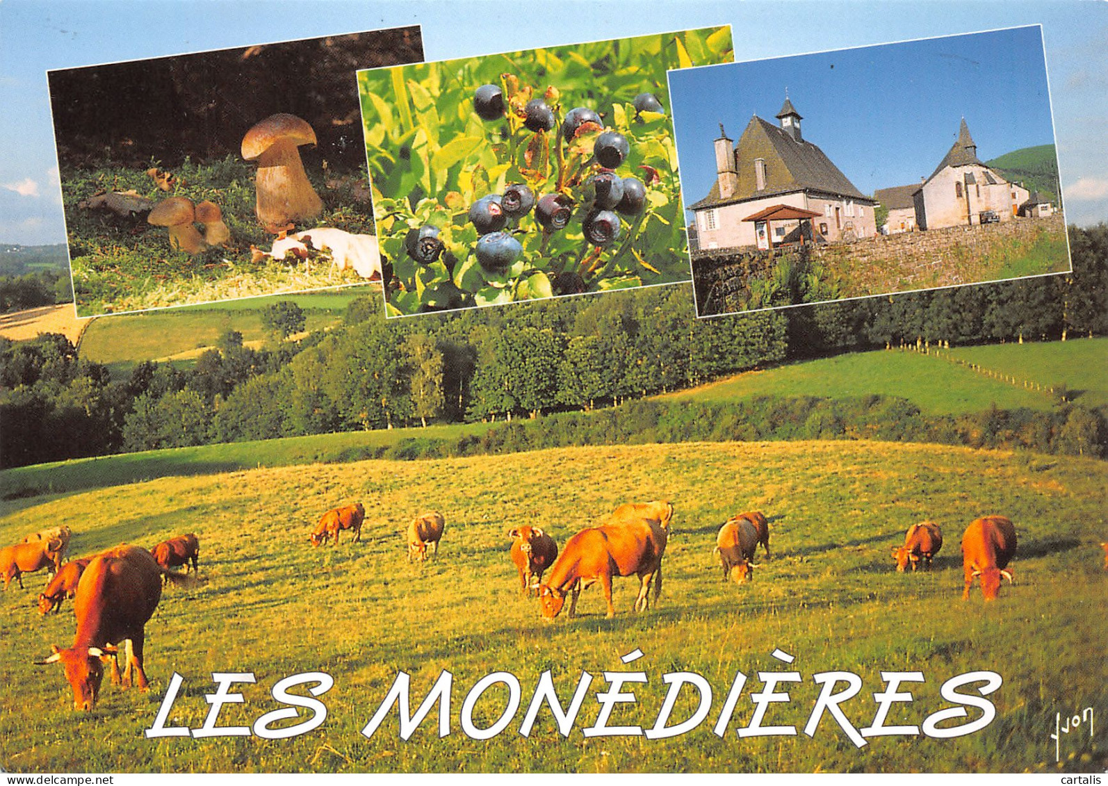 19-LES MONEDIERES-N°3820-C/0187 - Autres & Non Classés