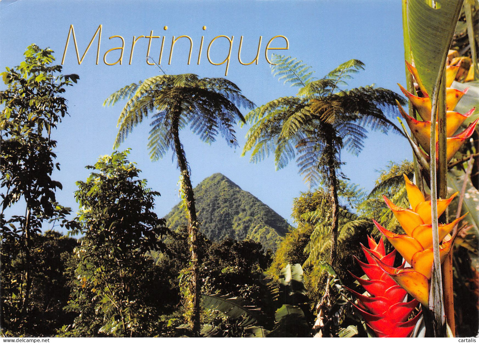 972-MARTINIQUE LA FORET TROPICALE-N°3820-C/0157 - Andere & Zonder Classificatie