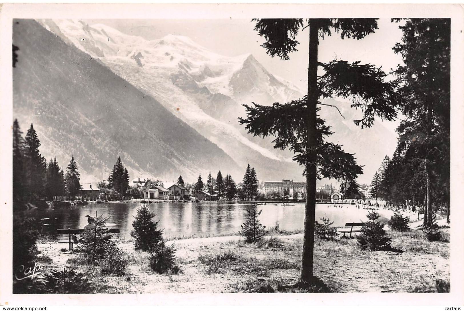 74-CHAMONIX-N°3820-E/0291 - Chamonix-Mont-Blanc