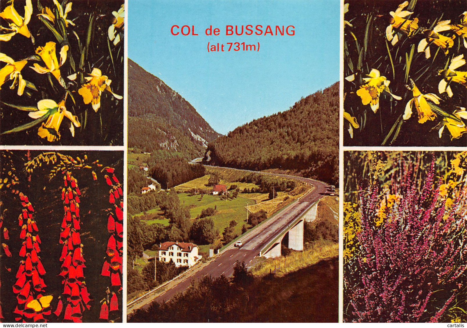 88-BUSSANG-N°3821-D/0147 - Bussang