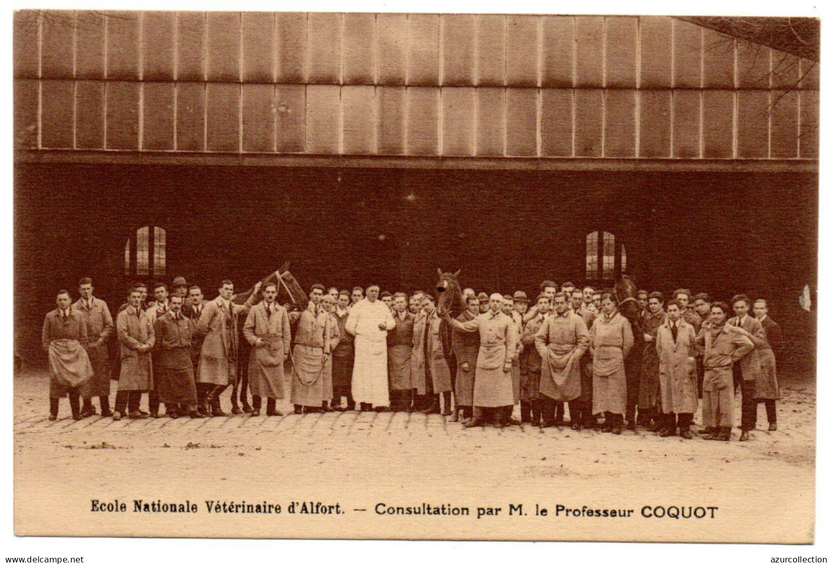 Ecole Nationale Vétérinaire. Consultation Par M. Le Professeur Coquot - Maisons Alfort