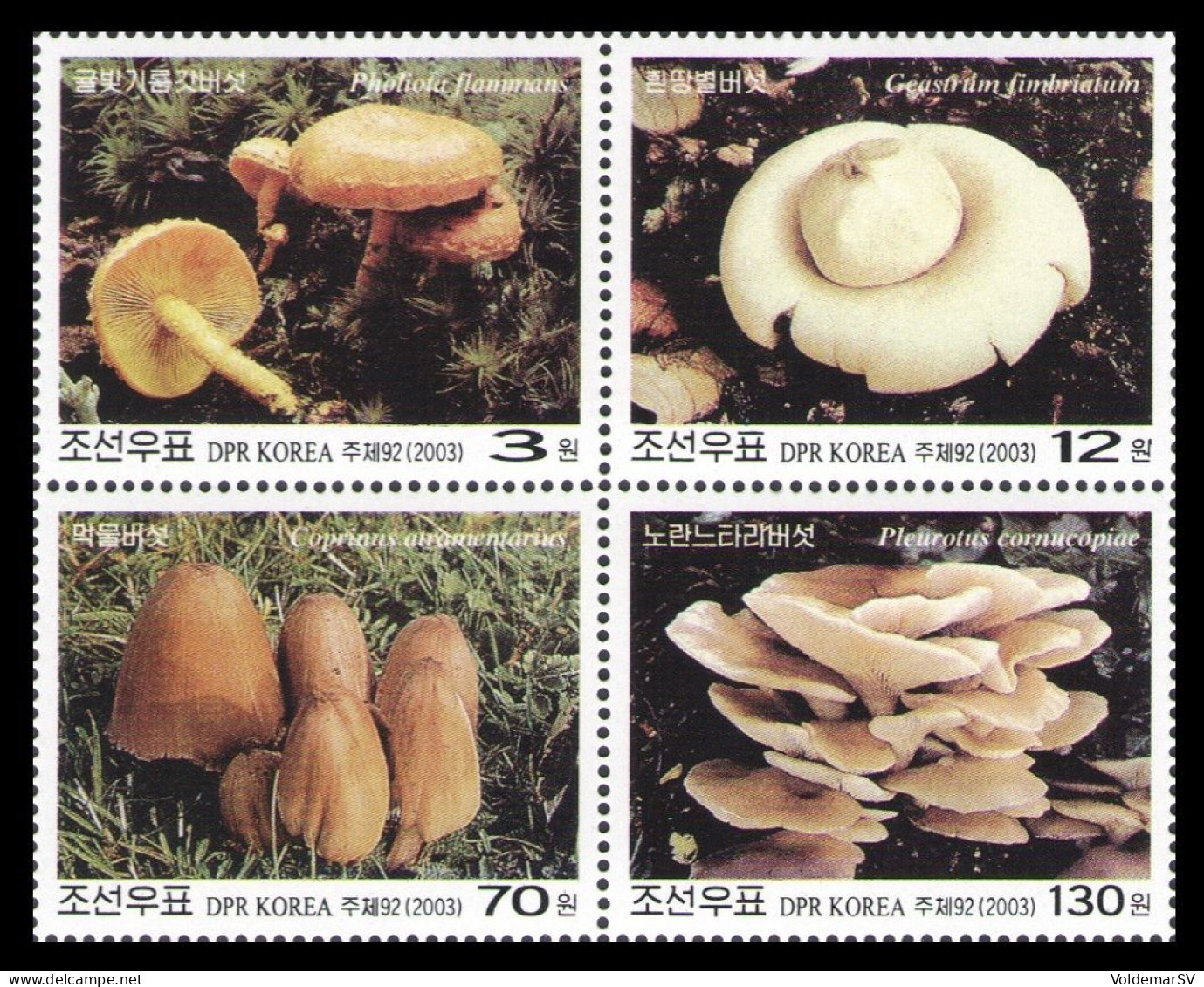 North Korea 2003 Mih. 4697/700 Flora. Mushrooms MNH ** - Corée Du Nord