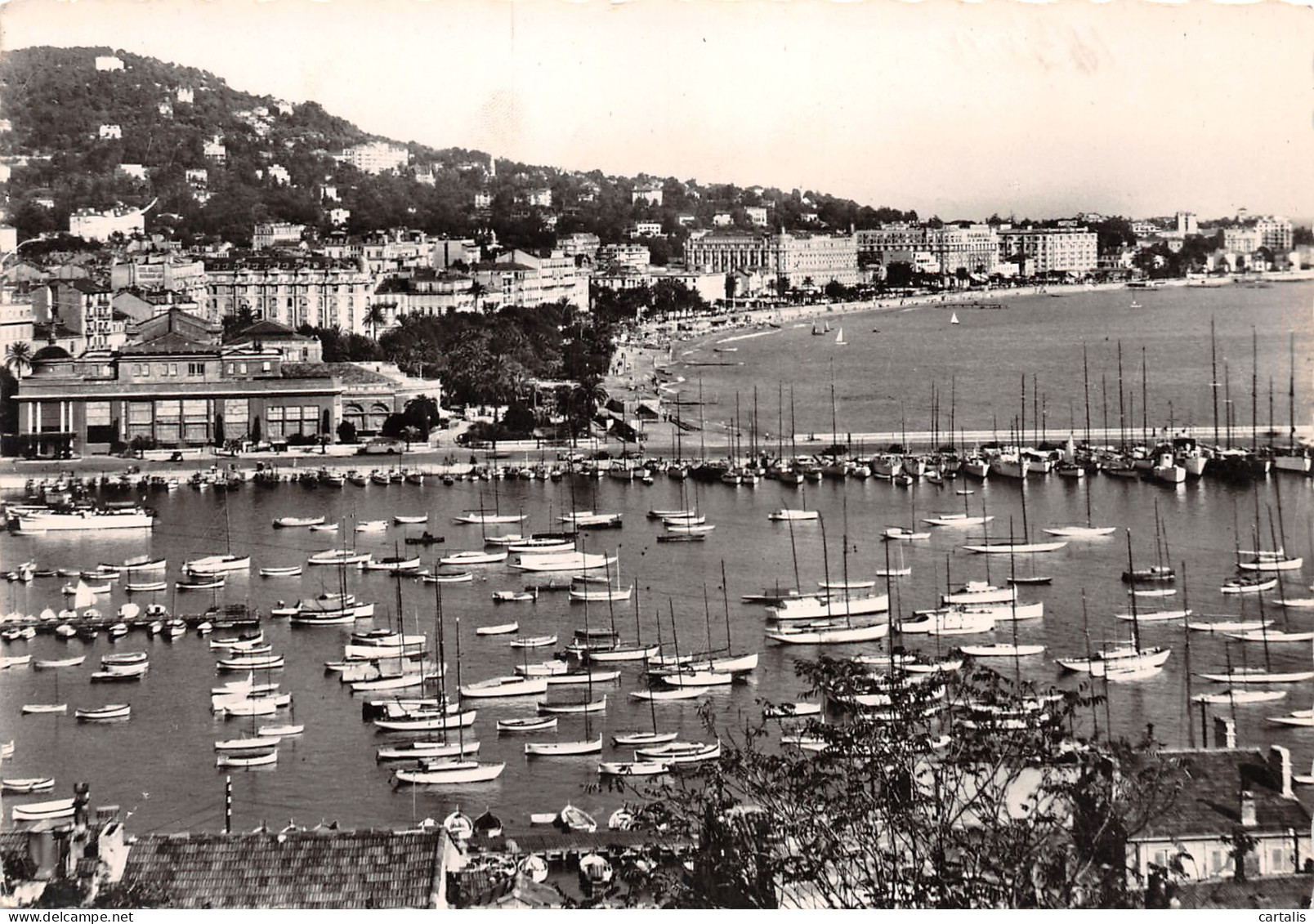 06-CANNES-N°3822-A/0349 - Cannes