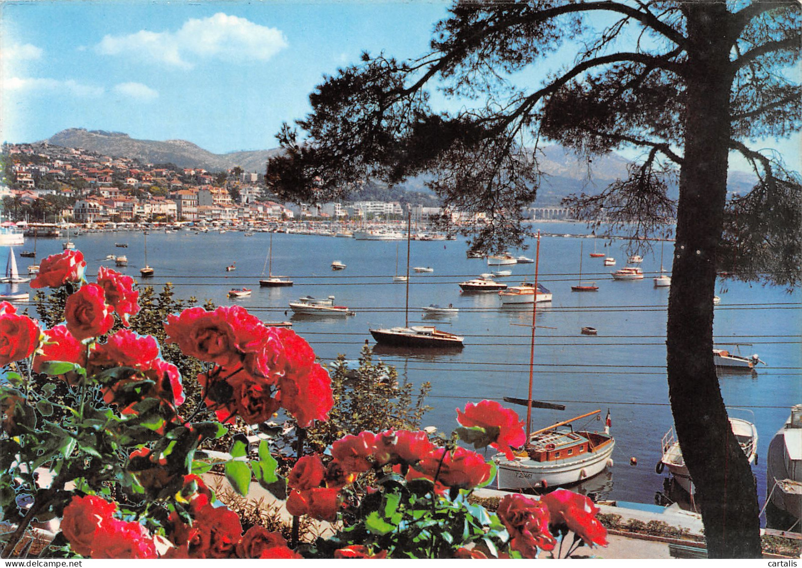 83-BANDOL-N°3822-A/0077 - Bandol