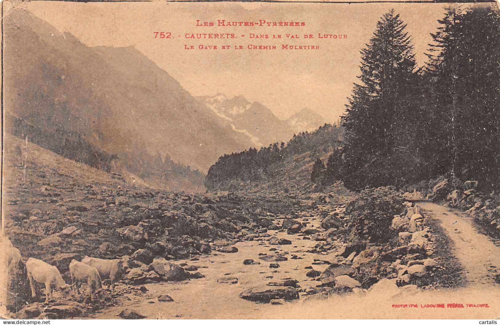 65-CAUTERETS-N°3821-E/0181 - Cauterets