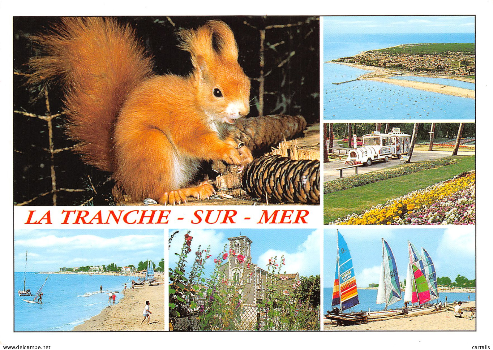 85-LA TRANCHE SUR MER-N°3822-D/0113 - La Tranche Sur Mer