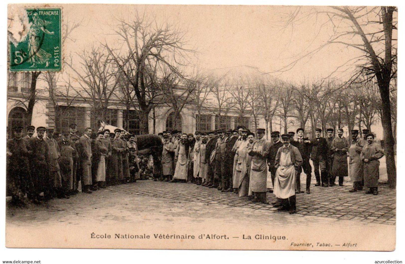 Ecole Nationale Vétérinaire. La Clinique - Maisons Alfort