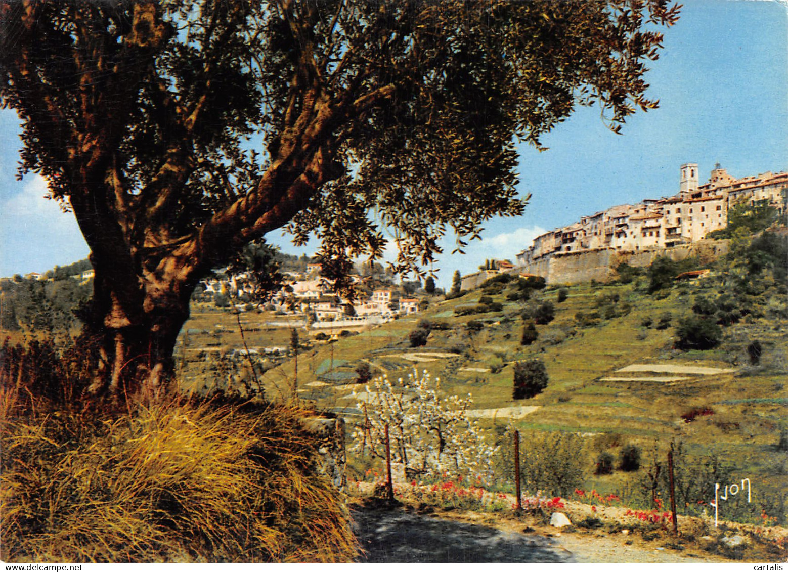 06-SAINT PAUL-N°3822-B/0233 - Poste Aérienne