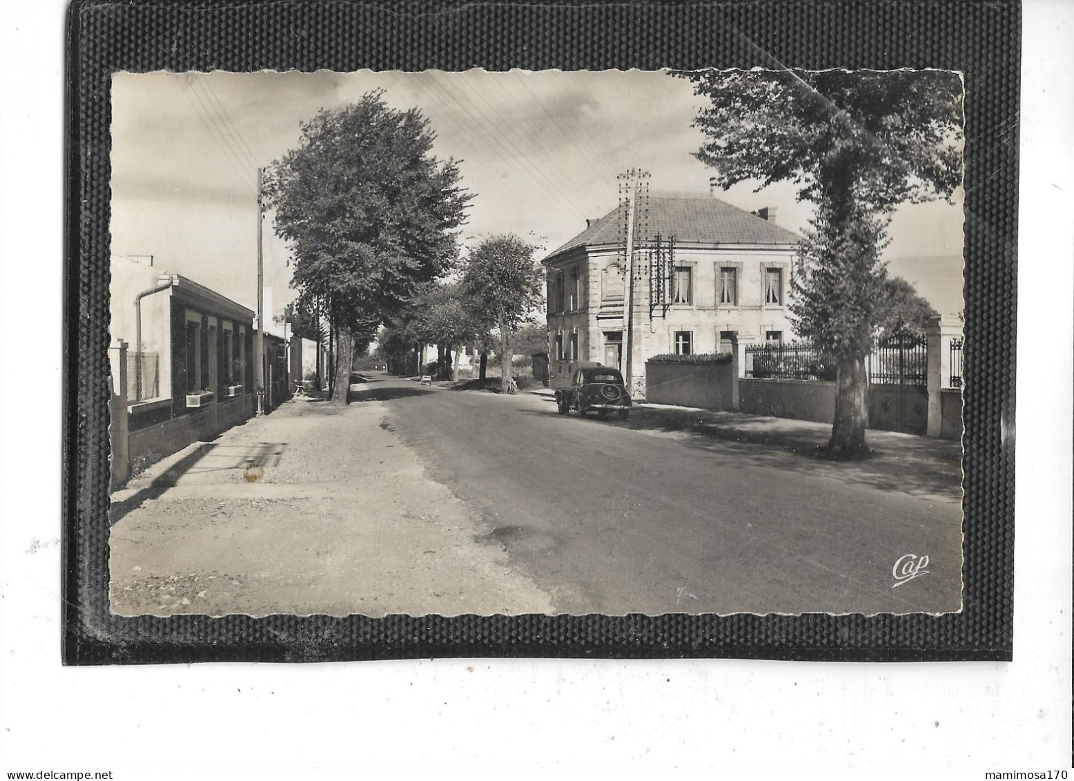 17- ILE D'OLERON - SAINT-GEORGES-D'OLERON- Une Vue Animée De L'Avenue Du "TRAIT D'UNION " - Ile D'Oléron