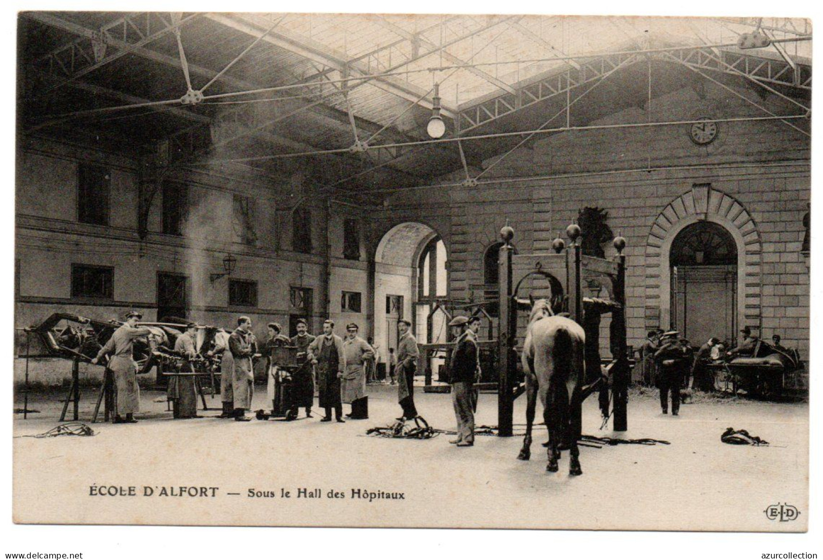 Ecole Nationale Vétérinaire. Sous Le Hall Des Hôpitaux - Maisons Alfort