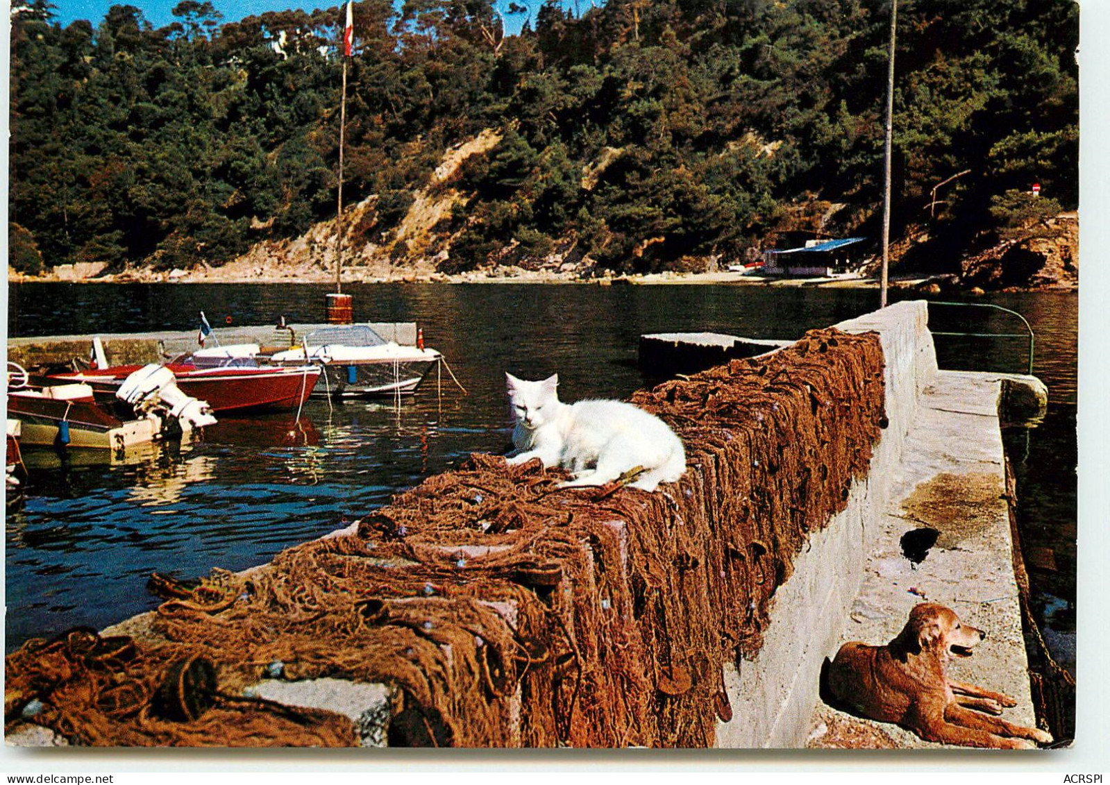 TOULON Port Mejean  édition Gai Soleil  RR 1219 - Toulon