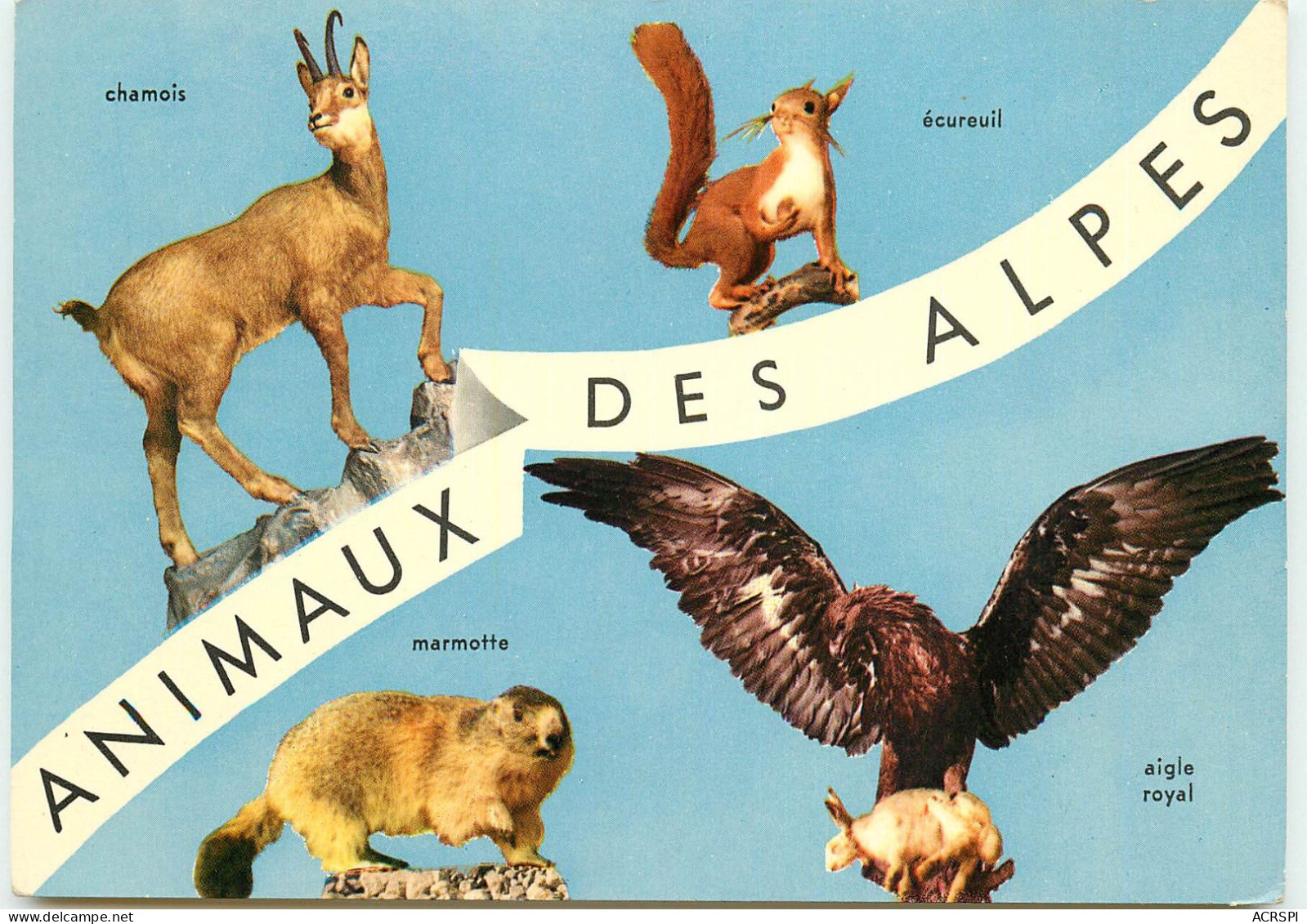 ANIMAUX DES ALPES  RR 1216 - Guillestre