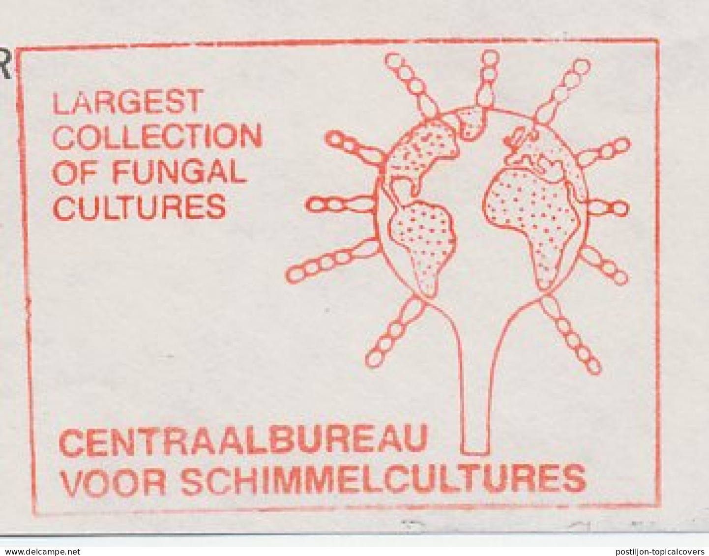 Meter Top Cut Netherlands 1984 Fungal Cultures - Sonstige & Ohne Zuordnung