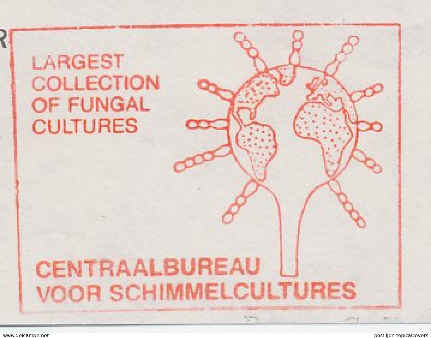 Meter Top Cut Netherlands 1984 Fungal Cultures - Autres & Non Classés