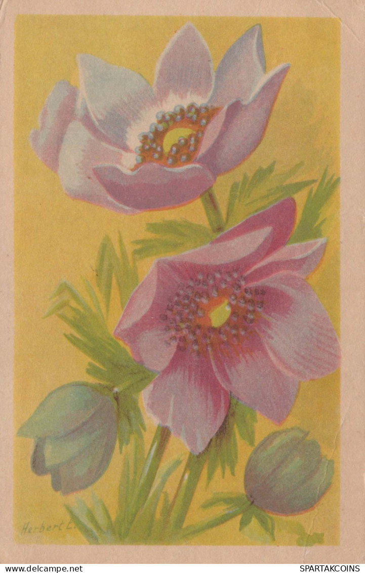 FLOWERS Vintage Ansichtskarte Postkarte CPA #PKE664.DE - Bloemen