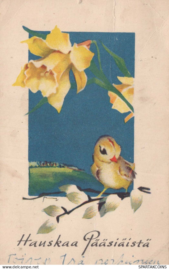 OSTERN VOGEL Vintage Ansichtskarte Postkarte CPA #PKE482.DE - Pâques