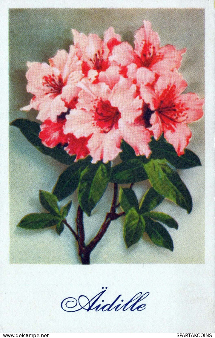 FLOWERS Vintage Ansichtskarte Postkarte CPA #PKE603.DE - Bloemen