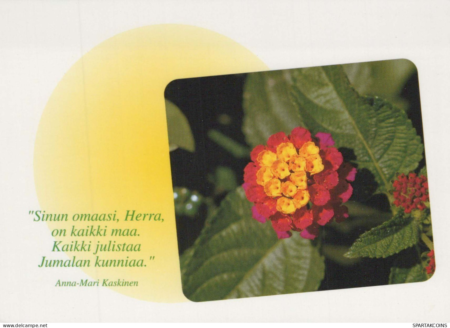 FLOWERS Vintage Ansichtskarte Postkarte CPSM #PBZ488.DE - Blumen