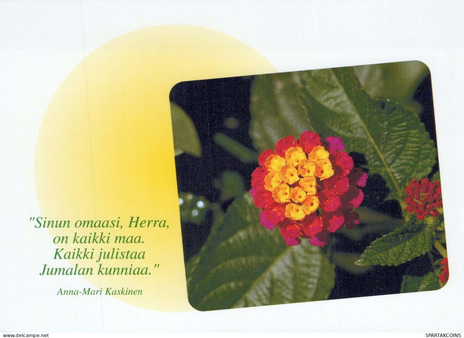 FLOWERS Vintage Ansichtskarte Postkarte CPSM #PBZ488.DE - Blumen