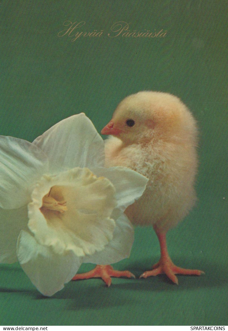 OSTERN HUHN EI Vintage Ansichtskarte Postkarte CPSM #PBP095.DE - Pâques