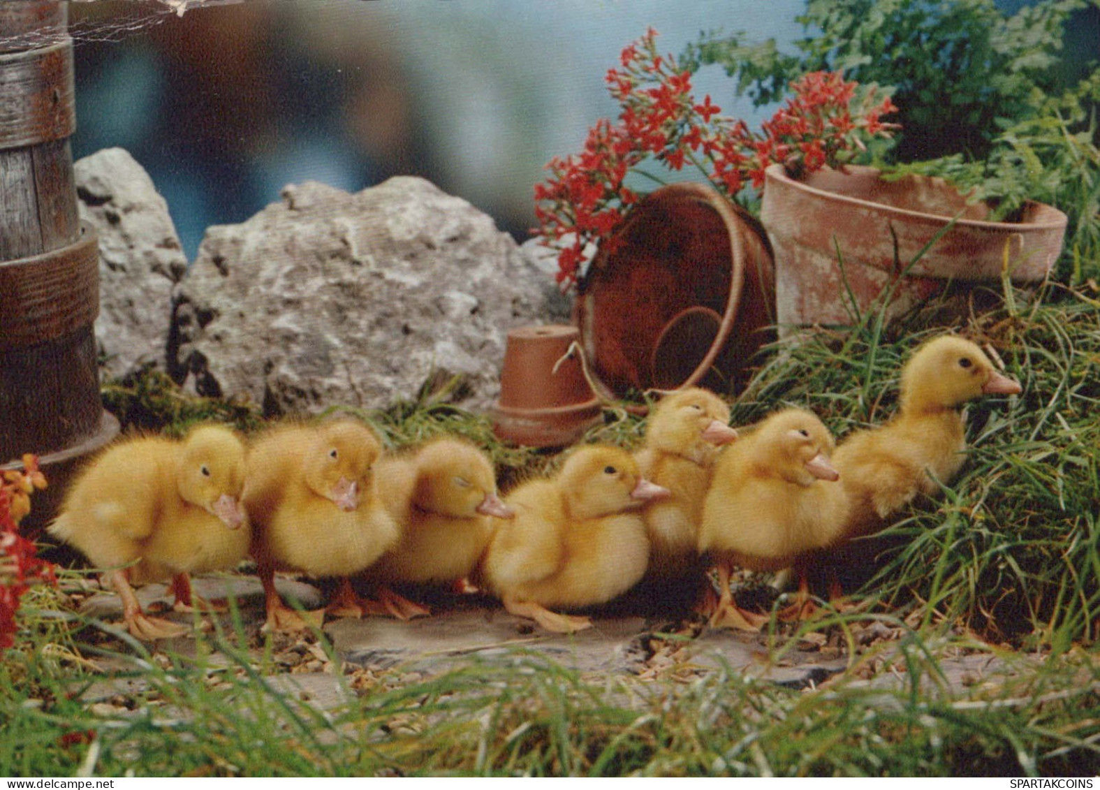 OSTERN HUHN Vintage Ansichtskarte Postkarte CPSM #PBO966.DE - Pascua