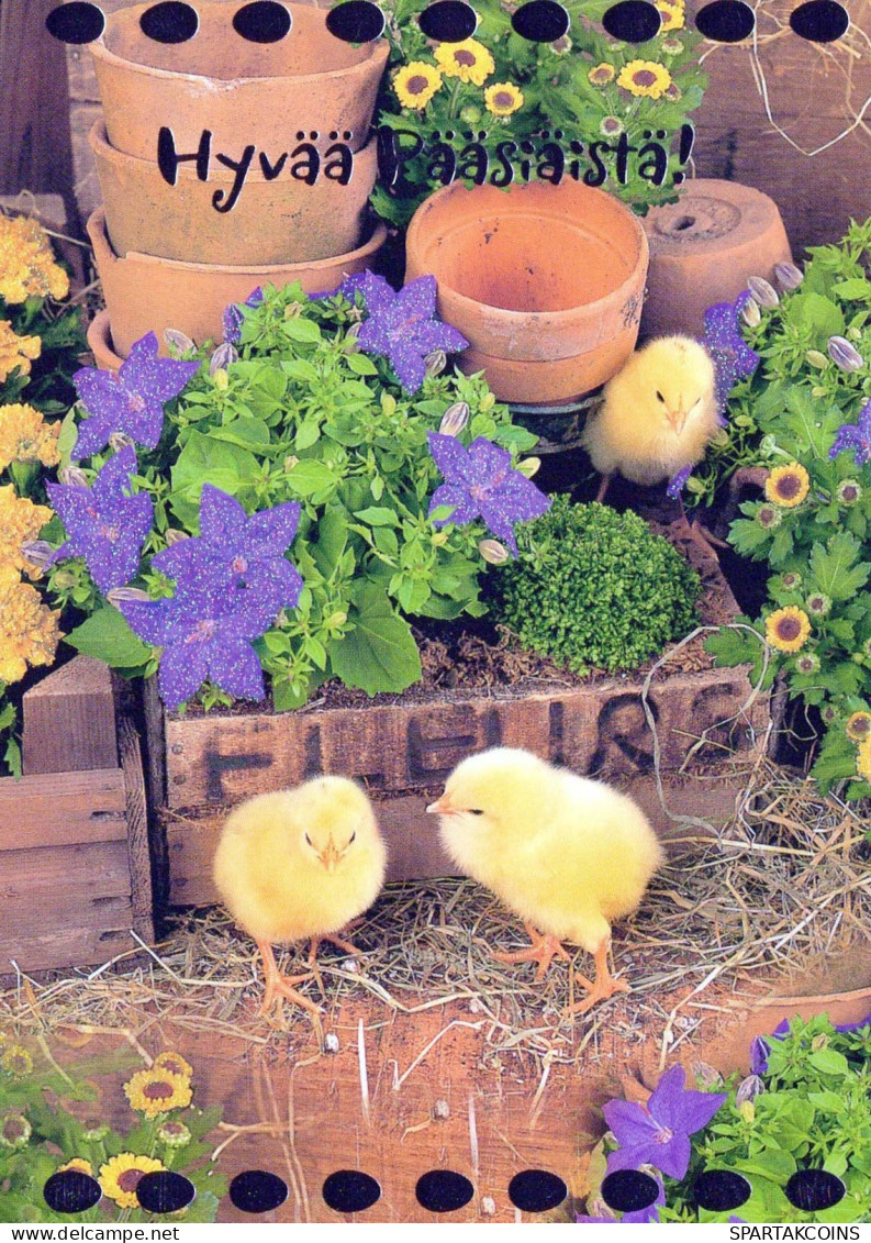 OSTERN HUHN EI Vintage Ansichtskarte Postkarte CPSM #PBO655.DE - Easter