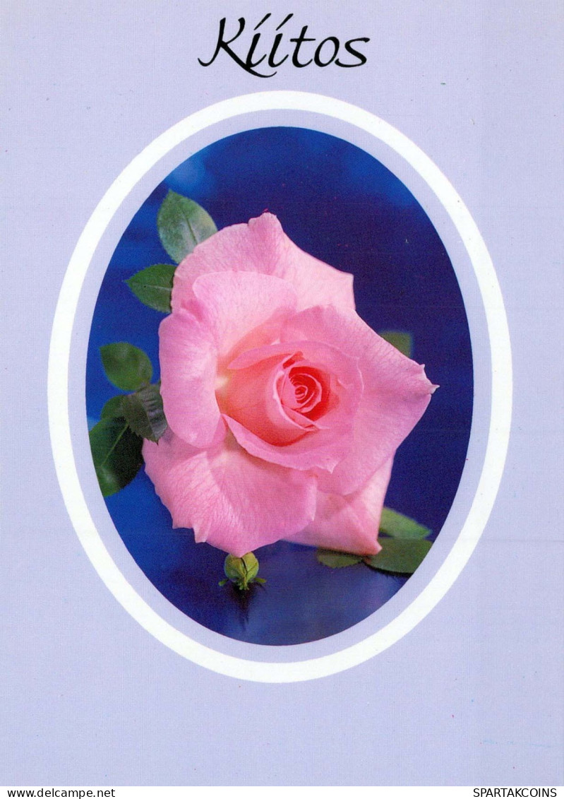FLOWERS Vintage Ansichtskarte Postkarte CPSM #PAS261.DE - Blumen