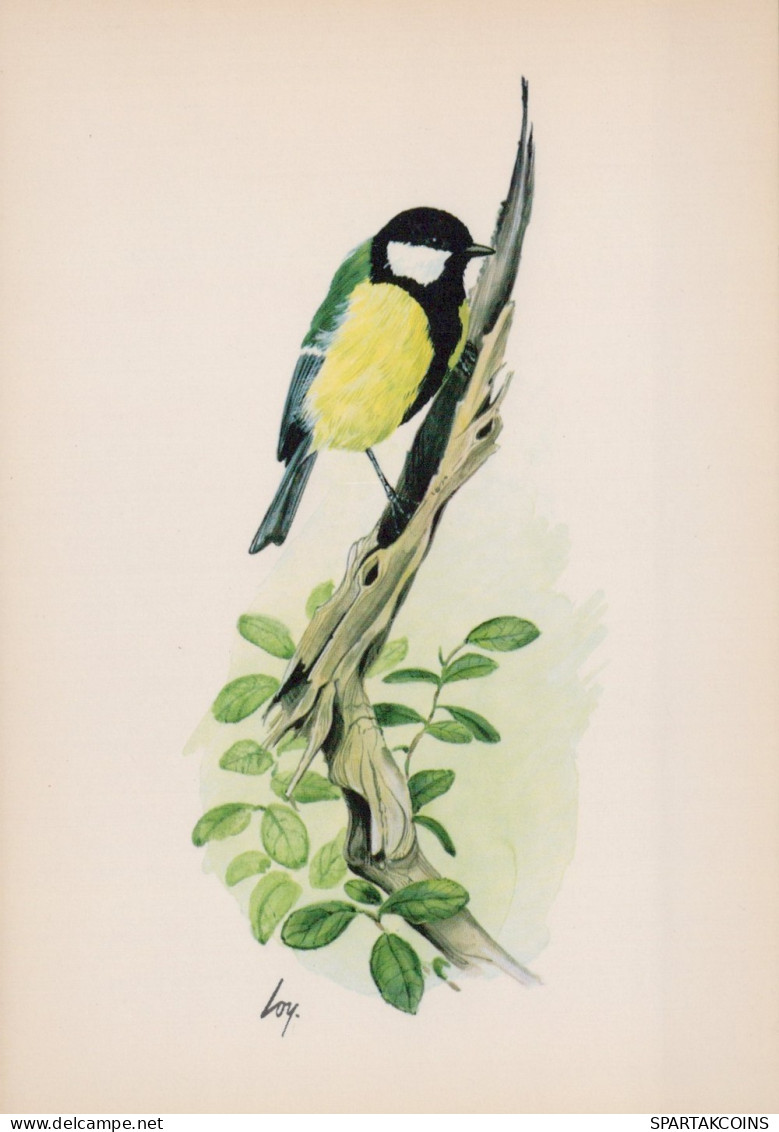 VOGEL Tier Vintage Ansichtskarte Postkarte CPSM #PAN223.DE - Birds