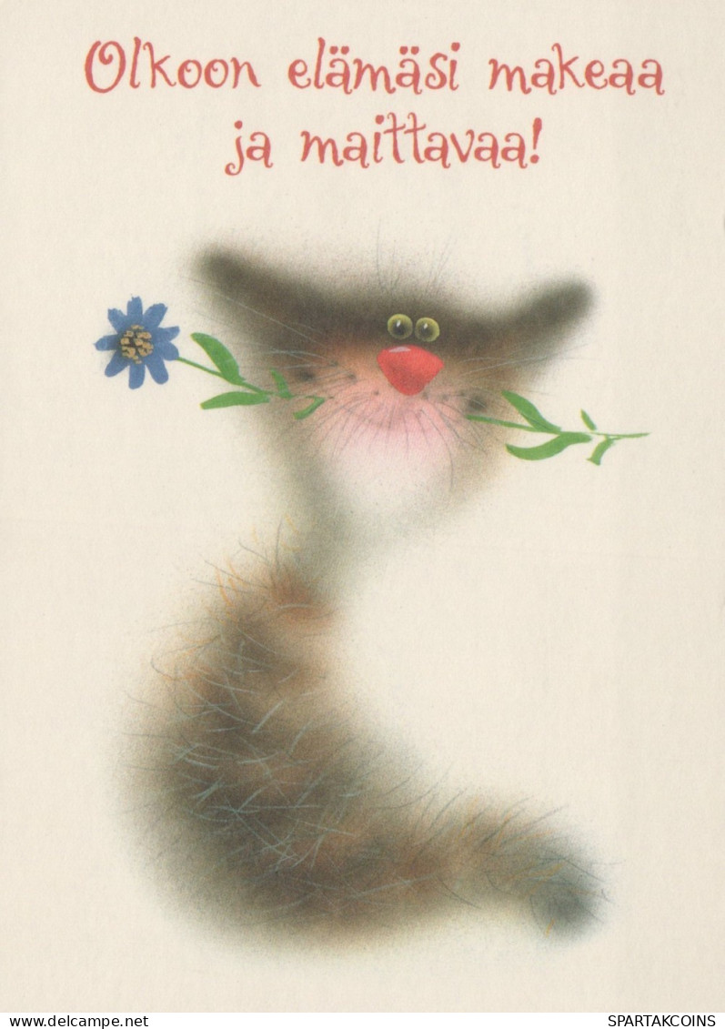 KATZE MIEZEKATZE Tier Vintage Ansichtskarte Postkarte CPSM #PAM474.DE - Chats